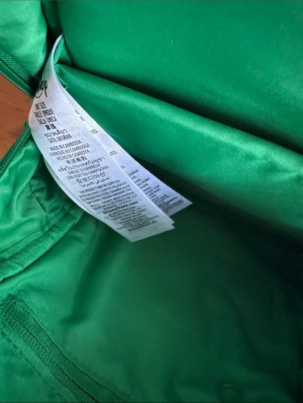 Disney Disneyland Resort Green Icon Mania Small Backpack